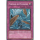 Tornade de Poussière (C) [SDZW]