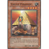 Tortue Pyramide (C) [SDZW]