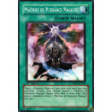 Maîtrise de Puissance Magique (C) [SDSC]