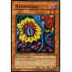 Mandragore (C) [SDSC]