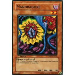 Mandragore (C) [SDSC]