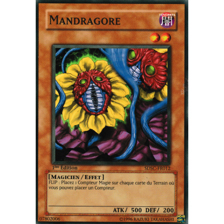 Mandragore (C) [SDSC]