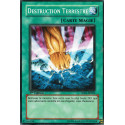 Destruction Terrestre (C) [5DS1]