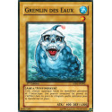 Gremlin des Eaux (C) [5DS1]