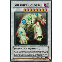 Guerrier Colossal (SR) [5DS1]