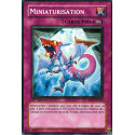 Miniaturisation (C) [5DS1]