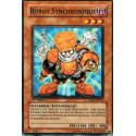 Robot Synchronique (C) [5DS1]