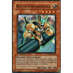 Route Synchronique (SR) [5DS2]