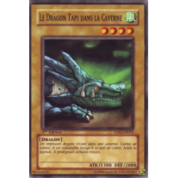 Le Dragon Tapi dans la Caverne (C) [5DS2]