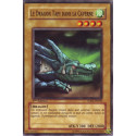 Le Dragon Tapi dans la Caverne (C) [5DS2]