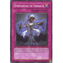 Épouvantail de Ferraille (C) [5DS1]