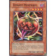 Tomate Mystique (C) [5DS1]