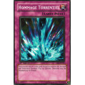 Hommage Torrentiel (C) [SD2]