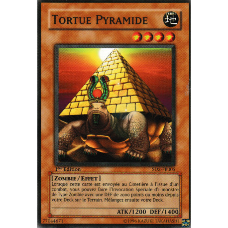 Tortue Pyramide (C) [SD2]