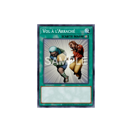 Vol à l'Arraché (C) [SD3]