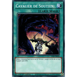 Cavalier de Soutien (C) [STAS]