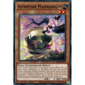 Intrépide Mannadium (V2) (C) [STAS]