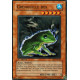 Grenouille Des (C)