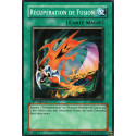 Récupération de Fusion (C) [CRV]