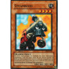 Steamroid (C)