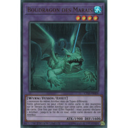 Boudragon des Marais (UR) [CT15]