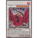 Dragon Rose Noire (SE) [CT05]