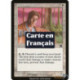 Blanche - Revendeur de charmes (C) [MMQ]
