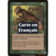 Verte - Insecte mortel (C) [MMQ]