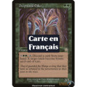 Verte - Ancêtre de Bois profond (R) [MMQ]
