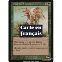 Verte - Tantiv de Bois profond (U) [MMQ]