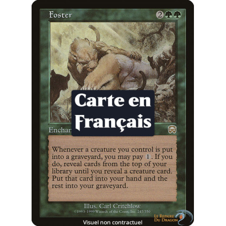 Verte - Famille d'accueil (R) [MMQ]