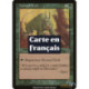 Verte - Troll cornu (C) [MMQ]