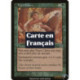 Verte - Griffes du tigre (C) [MMQ]