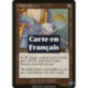 Incolore - Extrait de poisson-globe (U) [MMQ]