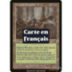 Terrain - Futaie de noyers (C) [MMQ]