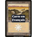 Terrain - Plaine (V1) (L) [MMQ]