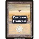 Terrain - Plaine (V4) (L) [MMQ]