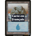 Terrain - Île (V3) (L) [MMQ]
