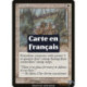 (Foil) Blanche - Mesures énergiques (R) [MMQ]