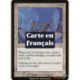(Foil) Blanche - Noble cause (U) [MMQ]