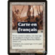 (Foil) Blanche - Rassemblement ramosien (C) [MMQ]