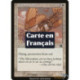 (Foil) Blanche - Planeur thermique (C) [MMQ]