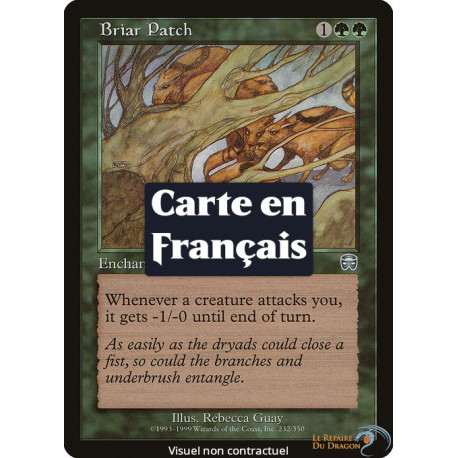 (Foil) Verte - Parcelle de ronces (U) [MMQ]