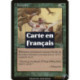 (Foil) Verte - Férocité (C) [MMQ]