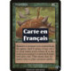 (Foil) Verte - Chaîne alimentaire (R) [MMQ]
