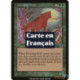 (Foil) Verte - Loup hurlant (C) [MMQ]