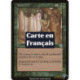 (Foil) Verte - Leurre (U) [MMQ]