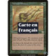 (Foil) Verte - Affinité naturelle (R) [MMQ]