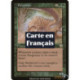 (Foil) Verte - Pangosaure (R) [MMQ]