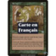 (Foil) Verte - Ravivement (U) [MMQ]